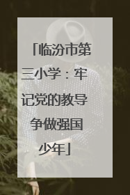临汾市第三小学：牢记党的教导 争做强国少年
