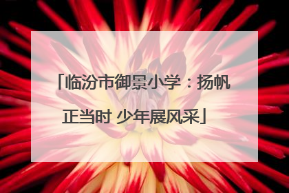临汾市御景小学：扬帆正当时 少年展风采