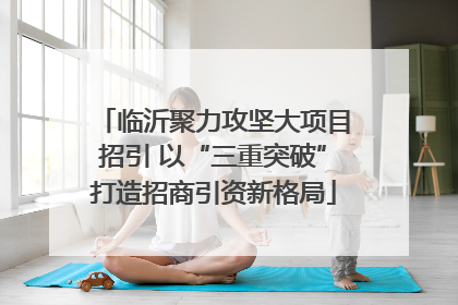 临沂聚力攻坚大项目招引 以“三重突破”打造招商引资新格局