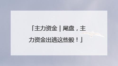 主力资金｜尾盘，主力资金出逃这些股！