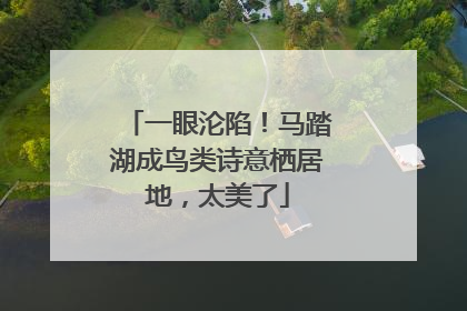 一眼沦陷！马踏湖成鸟类诗意栖居地，太美了