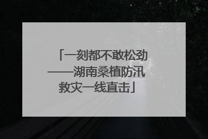 一刻都不敢松劲——湖南桑植防汛救灾一线直击