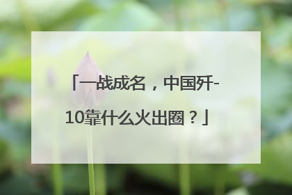 一战成名，中国歼-10靠什么火出圈？