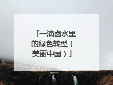 一滴卤水里的绿色转型（美丽中国）