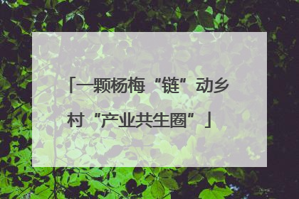 一颗杨梅“链”动乡村“产业共生圈”