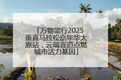 万物梁行2025垂直马拉松嘉年华太原站，云端赛道点燃城市活力基因