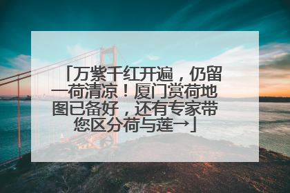 万紫千红开遍，仍留一荷清凉！厦门赏荷地图已备好，还有专家带您区分荷与莲→