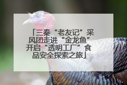 三秦“老友记”采风团走进“金龙鱼”开启“透明工厂”食品安全探索之旅