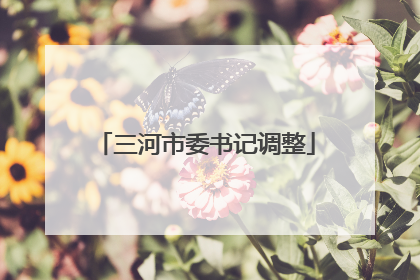 三河市委书记调整