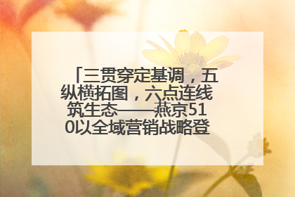 三贯穿定基调，五纵横拓图，六点连线筑生态——燕京510以全域营销战略登顶行业IP新高度