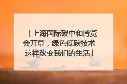 上海国际碳中和博览会开幕，绿色低碳技术这样改变我们的生活