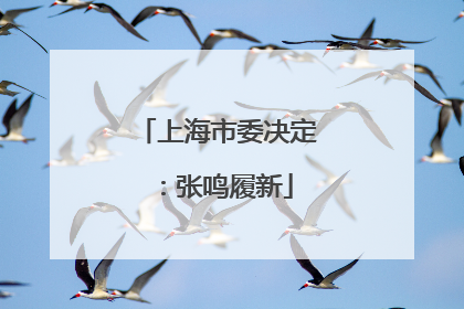 上海市委决定：张鸣履新