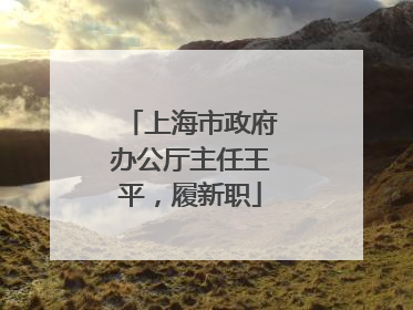 上海市政府办公厅主任王平，履新职
