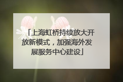 上海虹桥持续放大开放新模式，加强海外发展服务中心建设