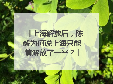 上海解放后，陈毅为何说上海只能算解放了一半？