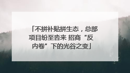 不拼补贴拼生态，总部项目纷至沓来 招商“反内卷”下的光谷之变