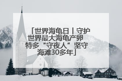 世界海龟日丨守护世界最大海龟产卵 特多“守夜人”坚守海滩30多年