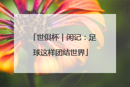 世俱杯｜闲记：足球这样团结世界