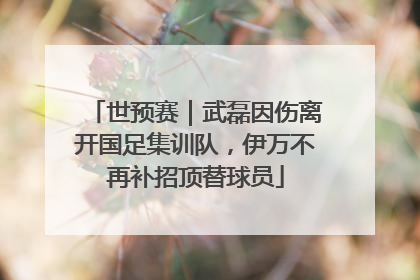 世预赛｜武磊因伤离开国足集训队，伊万不再补招顶替球员