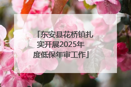 东安县花桥镇扎实开展2025年度低保年审工作