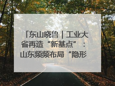 东山晓鲁｜工业大省再造“新基点”：山东频频布局“隐形冠军”背后