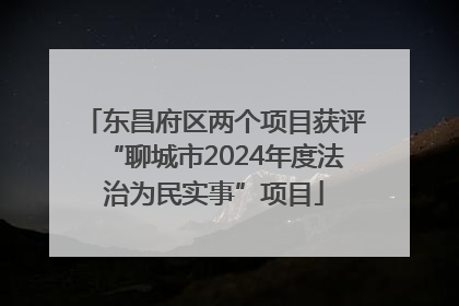 东昌府区两个项目获评“聊城市2024年度法治为民实事”项目