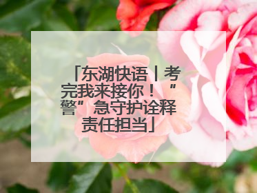 东湖快语丨考完我来接你！“警”急守护诠释责任担当
