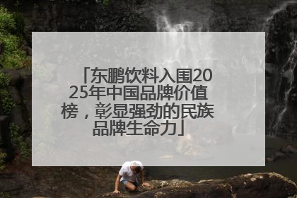 东鹏饮料入围2025年中国品牌价值榜，彰显强劲的民族品牌生命力