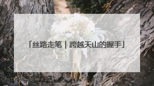 丝路走笔｜跨越天山的握手