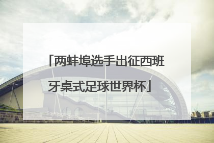 两蚌埠选手出征西班牙桌式足球世界杯