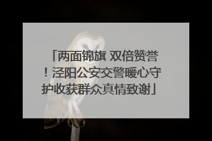 两面锦旗 双倍赞誉！泾阳公安交警暖心守护收获群众真情致谢