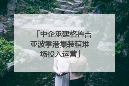 中企承建格鲁吉亚波季港集装箱堆场投入运营