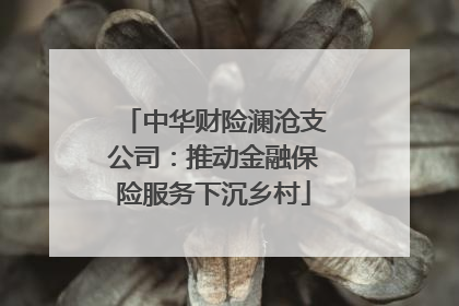 中华财险澜沧支公司：推动金融保险服务下沉乡村