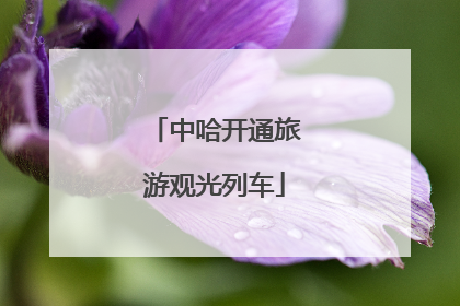 中哈开通旅游观光列车