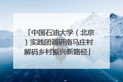 中国石油大学（北京）实践团调研南马庄村解码乡村振兴新路径
