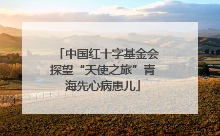 中国红十字基金会探望“天使之旅”青海先心病患儿