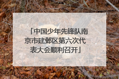 中国少年先锋队南京市建邺区第六次代表大会顺利召开