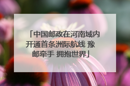 中国邮政在河南域内开通首条洲际航线 豫邮牵手 拥抱世界