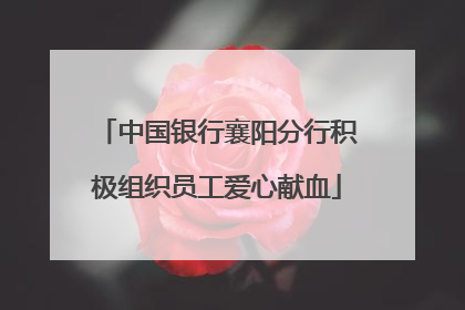 中国银行襄阳分行积极组织员工爱心献血