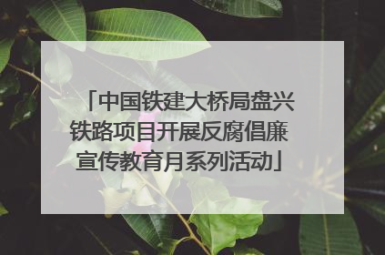中国铁建大桥局盘兴铁路项目开展反腐倡廉宣传教育月系列活动
