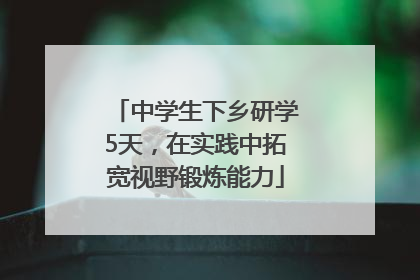 中学生下乡研学5天，在实践中拓宽视野锻炼能力