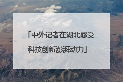 中外记者在湖北感受科技创新澎湃动力