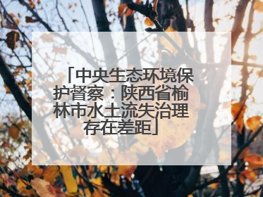 中央生态环境保护督察：陕西省榆林市水土流失治理存在差距