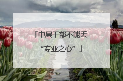中层干部不能丢“专业之心”