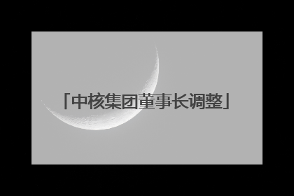 中核集团董事长调整