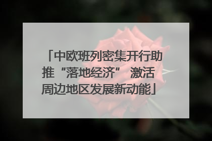 中欧班列密集开行助推“落地经济” 激活周边地区发展新动能