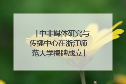 中非媒体研究与传播中心在浙江师范大学揭牌成立