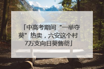 中高考期间“一举夺葵”热卖，六安这个村7万支向日葵售罄
