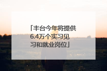 丰台今年将提供6.4万个实习见习和就业岗位