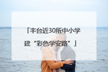 丰台近30所中小学建“彩色学安路”